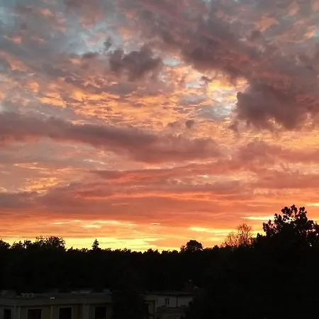 Max - - - Restauracja - Basen Üdülőpark Mielno